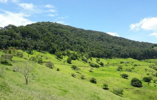 Criação de Reserva Particular do Patrimônio Natural avança no RJ