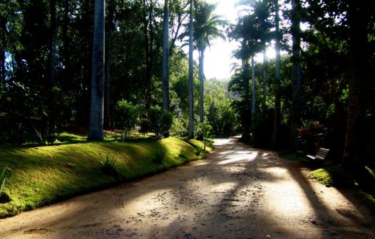 Parque Municipal de Rio das Ostras é reaberto