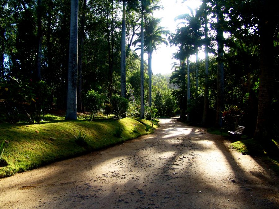 Parque Municipal de Rio das Ostras é reaberto