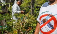 Macaé segue com ações de combate às zoonoses
