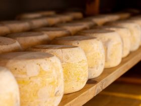 Cartilha do RJ orienta sobre Selo Queijo Artesanal