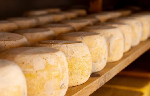 Cartilha do RJ orienta sobre Selo Queijo Artesanal