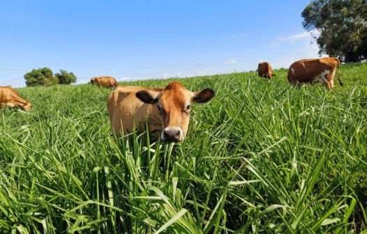 Protocolo fortalece agricultura sustentável no RJ