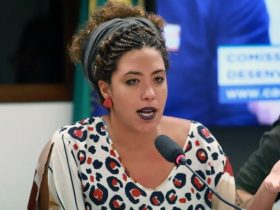 Talíria Petrone critica foco do Congresso nos bebês reborn