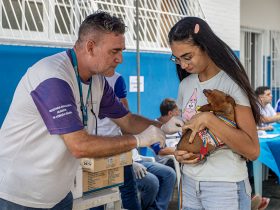 Vacinação antirrábica segue em Macaé até sábado