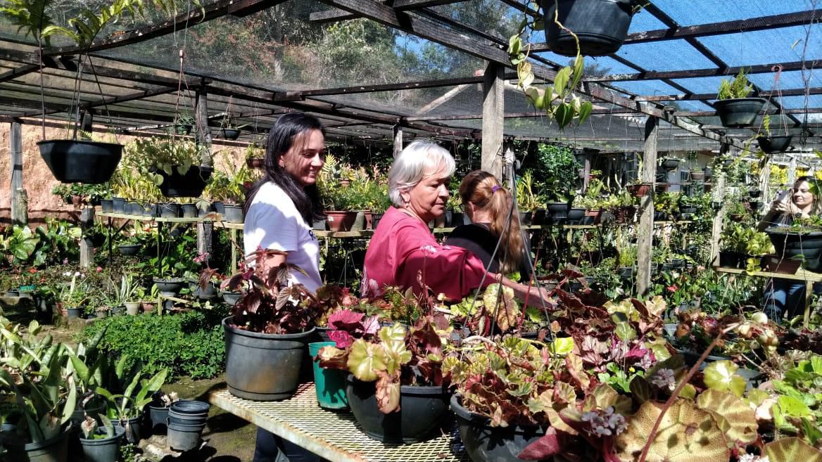 Vendas de flores devem crescer no Rio com o Dia das Mães