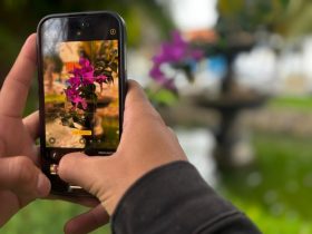1º Concurso de Fotografias de São Fidélis valoriza fauna e flora local