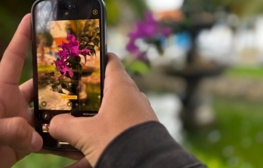 1º Concurso de Fotografias de São Fidélis valoriza fauna e flora local