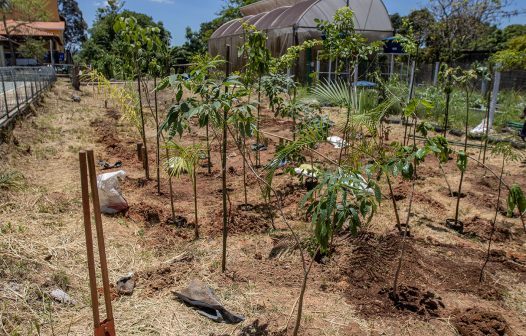 Minifloresta Urbana será inaugurada em Macaé