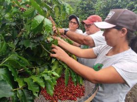 Agricultura fluminense recebe investimento de R$23,5 milhões