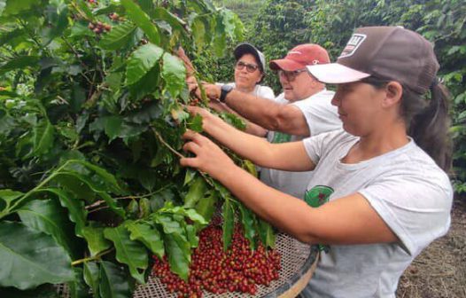 Agricultura fluminense recebe investimento de R$23,5 milhões