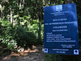 Áreas verdes reduzem em até 10°C a temperatura no Rio