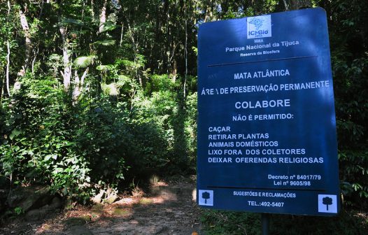 Áreas verdes reduzem em até 10°C a temperatura no Rio