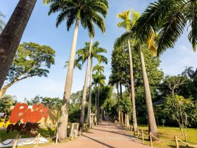Caso de gripe aviária no BioParque do Rio é confirmado