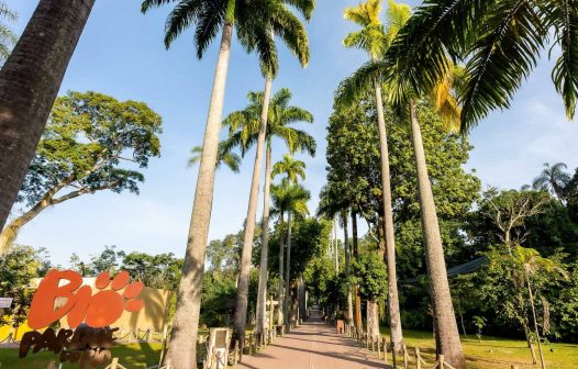 Caso de gripe aviária no BioParque do Rio é confirmado