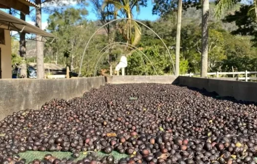 Expo Café Varre-Sai 2025 movimenta R$23 milhões