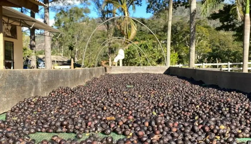 Expo Café Varre-Sai 2025 movimenta R$23 milhões