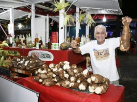 Festa do Aipim movimenta Tinguá com cultura e gastronomia