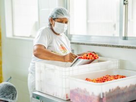 Mesquita prepara projeto para impulsionar agricultura local