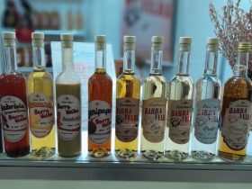 Dia Nacional da Cachaça celebra tradição e futuro no Rio
