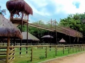 Parque das Aves será inaugurado em Miguel Pereira em outubro