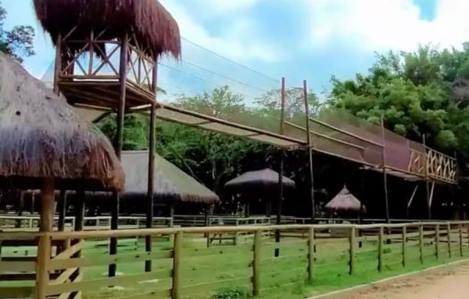 Parque das Aves será inaugurado em Miguel Pereira em outubro