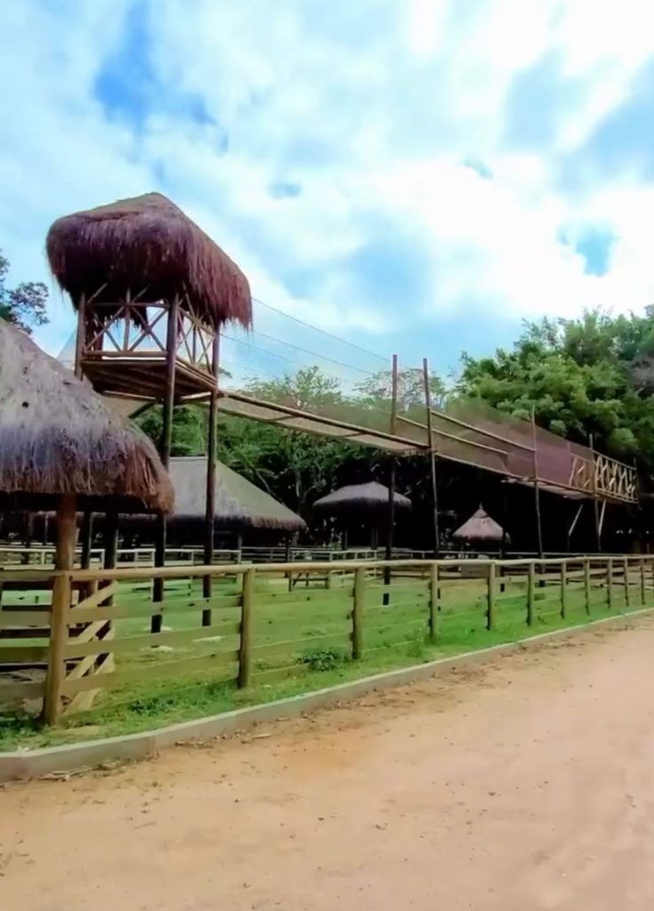 Parque das Aves será inaugurado em Miguel Pereira em outubro