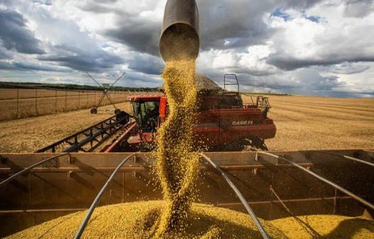 Produção de grãos cresce 2,2% no Rio de Janeiro na safra 2024/25
