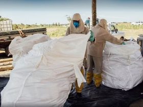 São Francisco de Itabapoana promove campanha sobre riscos de agrotóxicos