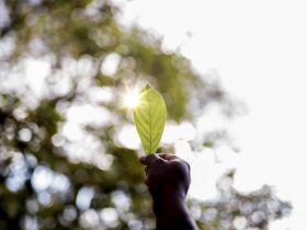 Integra Rio 2025 tem inscrições prorrogadas