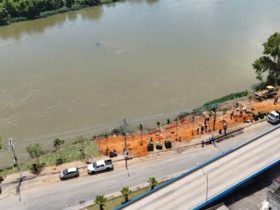 Barra Mansa planta ipês-rosa na Beira-Rio