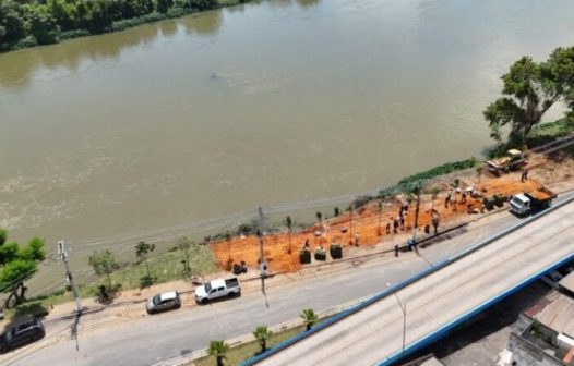 Barra Mansa planta ipês-rosa na Beira-Rio