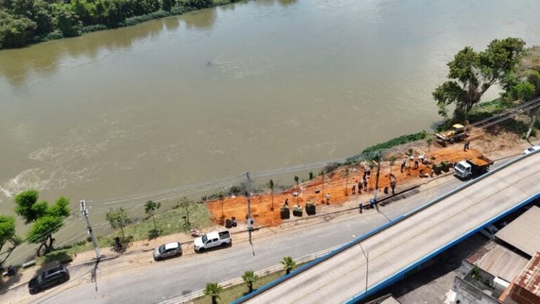 Barra Mansa planta ipês-rosa na Beira-Rio