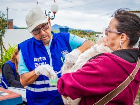 Campanha antirrábica em Maricá vacina mais de 11 mil animais