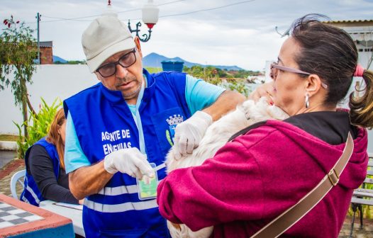 Campanha antirrábica em Maricá vacina mais de 11 mil animais
