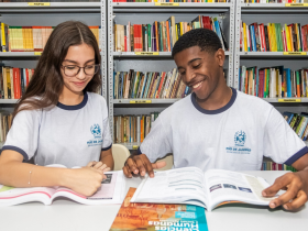 Emprego, Educação e Criminalidade no Rio de Janeiro: Um Ciclo de Desafios e Soluções