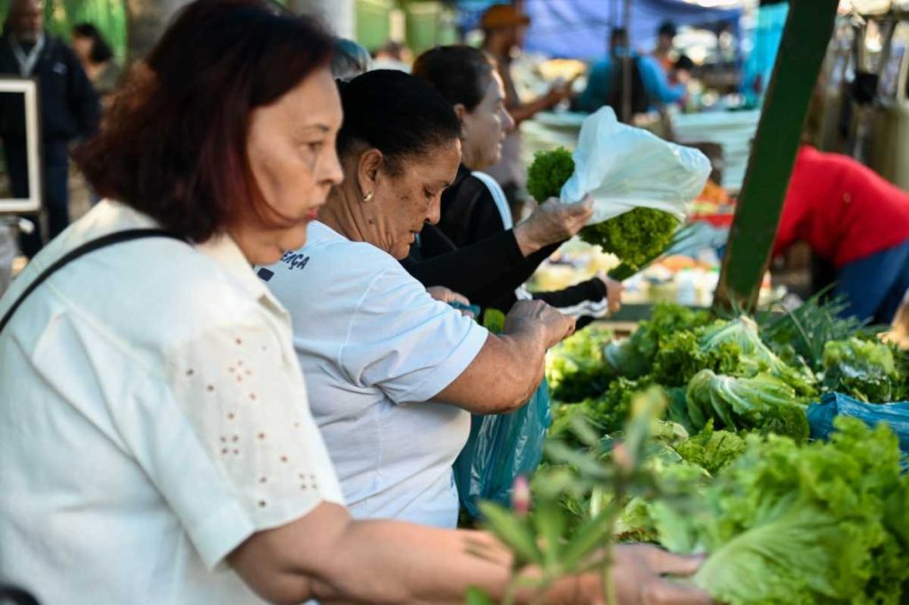 Feira Livre fortalece economia e valoriza produtores de Barra Mansa