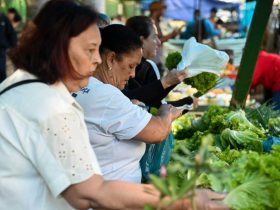 Feira Livre fortalece economia e valoriza produtores de Barra Mansa