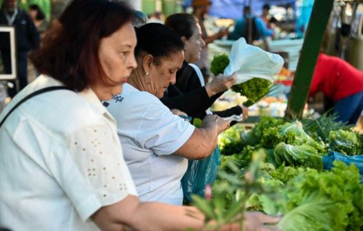 Feira Livre fortalece economia e valoriza produtores de Barra Mansa