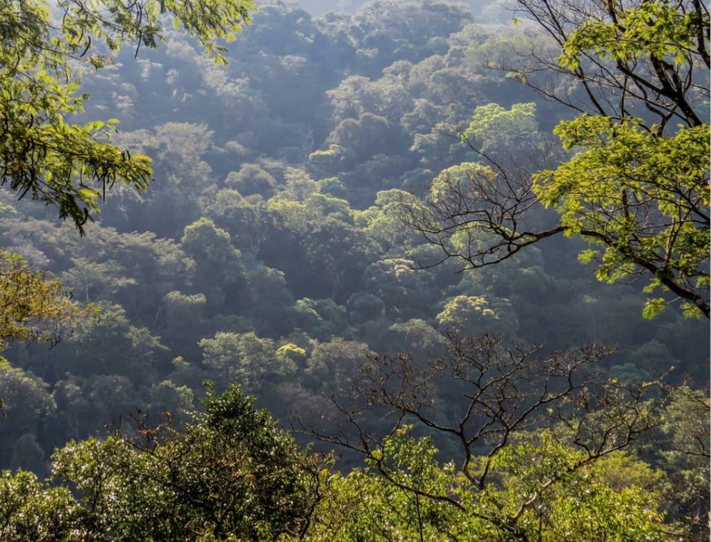 Reserva do Tinguá vira Patrimônio Paisagístico e Turístico do Estado