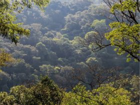 Reserva do Tinguá vira Patrimônio Paisagístico e Turístico do Estado