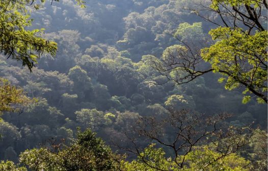 Reserva do Tinguá vira Patrimônio Paisagístico e Turístico do Estado
