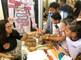 UFRJ leva oficinas, jogos e painéis ao Festival da Ciência pelo Clima 2025