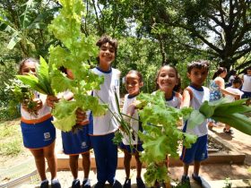 Colheita escolar rende “ceia antecipada” em Nova Iguaçu
