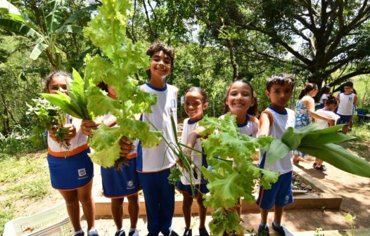 Colheita escolar rende “ceia antecipada” em Nova Iguaçu