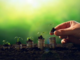 A Importância da Sustentabilidade nos Negócios: Um Caminho para o Sucesso Coletivo