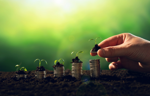 A Importância da Sustentabilidade nos Negócios: Um Caminho para o Sucesso Coletivo