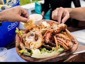 Silk Beach eleva a gastronomia em Búzios