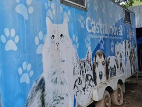 Barra do Piraí entrega CastraMóvel para atendimento animal