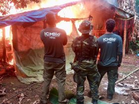 ICMBio e Prefeitura de Nova Iguaçu combatem extração ilegal de palmito